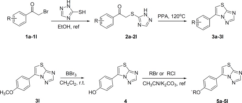 Synthetic route of target compounds (3a-3l, 5a-5l).