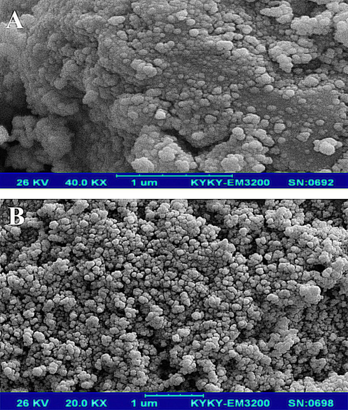 SEM image of (A) Fe3O4 and (B) Fe3O4@SiO2 NPs at different magnifications