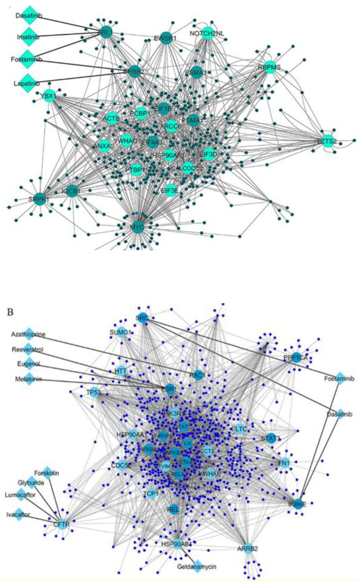 (A) PBMCs QQPPI network and (B) pancreatic β-cells QQPPI network. Protein-protein interaction (PPI) networks of differentially expressed genes which involved the first neighbors of central nodes. Nodes with high centrality measures are illustrated by bigger size and different colors than others. The interaction of drugs with targets is shown in each QQPPI network. Up-regulated and down-regulated genes are colored by light green and dark green, respectively in (A), and light blue and dark blue in (B)