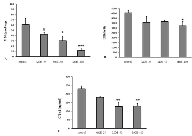 Effect of various treatments on serum levels of MDA (A), LDH (B) and CtnI (C) at 5 days after reperfusion in different groups. The values are expressed as mean±SEM; cTnI = Cardiac troponin I; LDH = lactate dehydrogenase; MDA = malondialdehyde. Data are presented as mean ± SEM. * Significant difference compared to the control group (p < 0.05); ** Significant difference compared to the control group (p < 0.01); *** Significant difference compared to the control group (p < 0.001); # Significant difference compared to the 100 mg/kg M. officinalis extract-treated group (p < 0.05)