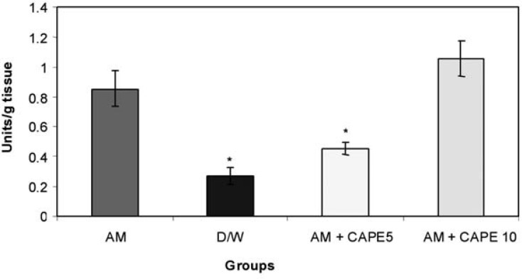 lung tissue Myeloperoxidase (units/g tissue) ; Significant differences between amiodarone-treated group negative control of 5 µM CAPE-treated groups are indicated by *(p<0.001). 