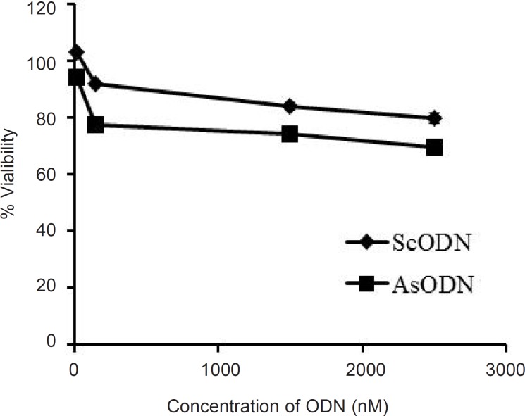 Antiproliferative effect of the liposomal antisense oligonucleotide (AsODN) in comparison to its control (ScODN) at different concentrations after 48 h exposure time. Data are mean ± standard error (n = 6).