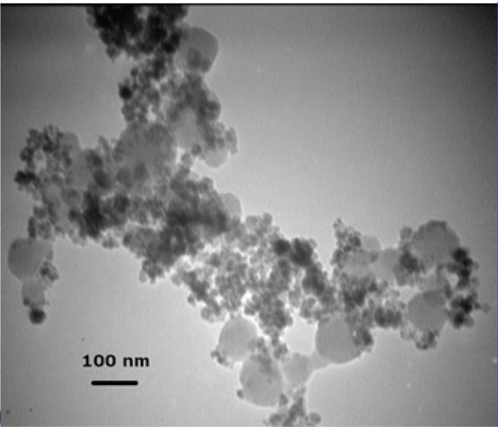 TEM micrograph of Fe3O4@SiO2 NPs prepared using a TEOS concentration of 0.2% (v/v). As described in the text, large homogenous silica particles without a magnetic core are formed at this increased TEOS concentration