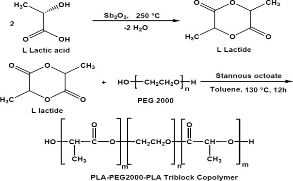 Schematic synthesis of L lactide and PLA-PEG-PLA triblock copolymers