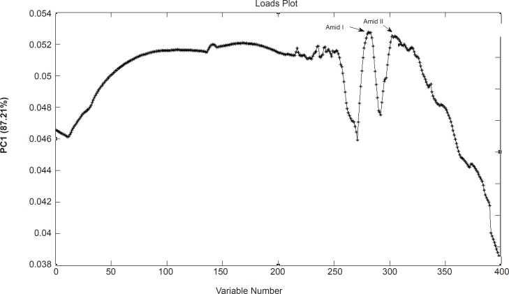 Loading plot of PCA analysis as is resulted from the FTIR data of A2780, A2780CP and C13 cells