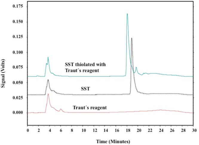 HPLC chromatographs of SST reacted with Traut´s reagent. Signals were detected at 274 nm. Single peak eluted at about 19 min corresponded to SST. Thiolated-SST eluted at 18.6 min.