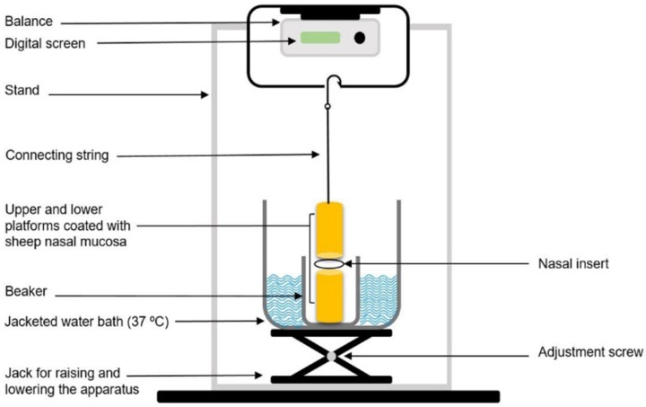 Schematic diagram of the apparatus used for assessing the mucoadhesive strength of the inserts
