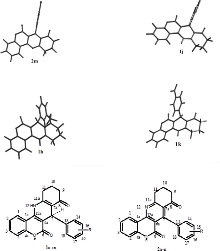 The optimized three-dimensional structural representation of six selected compounds