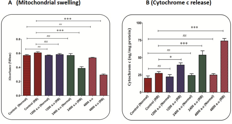 (A) Mitochondrial swelling assay. The effect of CAP (1200, 2400, and 4800 a.u.) on mitochondrial swelling in the mitochondria isolated from the normal and retinoblastoma groups. Data are shown as mean ± SD (n = 3). *** show a significant difference in comparison with the corresponding control (P < 0. 001). (B) Cytochrome c release assay. The amount of expelled cytochrome c from the mitochondrial fraction into the suspension buffer was determined using a rat/mouse cytochrome c ELISA kit. Data are presented as mean ± SD (n = 3). * and *** show a significant difference in comparison with the corresponding control (P < 0.05 and P < 0.001, respectively)