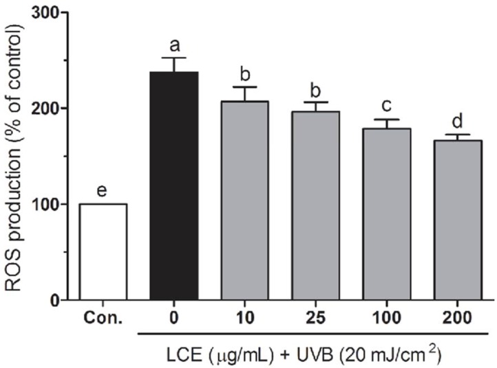 Effects of Lindera coreana leaf ethanol extracts (LCE) on intracellular reactive oxygen species (ROS) levels in UVB (20 mJ/cm2) irradiated HaCaT keratinocytes. Data are representative of three independent experiments as mean ± SD. a~e Mean values with different letters on the bars are significantly different (p < 0.05) according to Duncan’s multiple range test