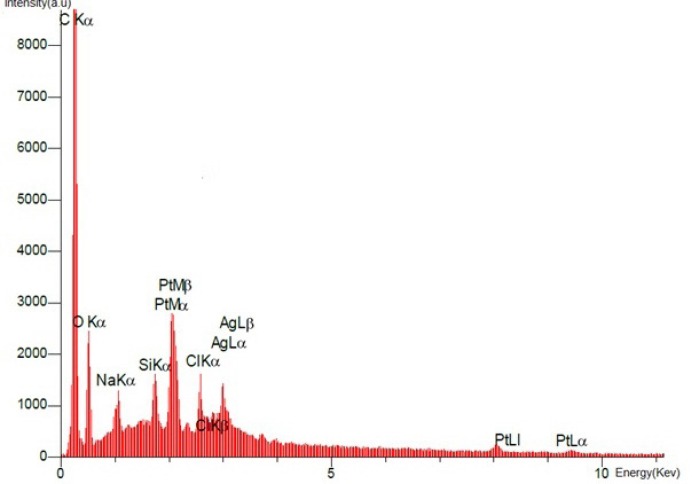 EDX spectrum of the final product, Diammineplatinum (II) cyclopropan-1,1-dicarboxylate-SWCNT (dcd-SWCNT) is presented. Signals from Carbon (from nanotubes) and platinum (from the chlated platinum atom) have been detected.