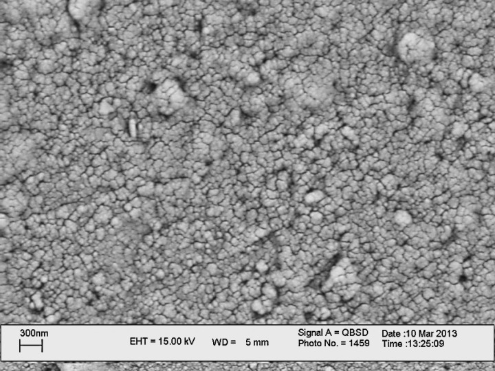 SEM image of carbon nanoparticles deposited at the surface of glassy carbon electrode
