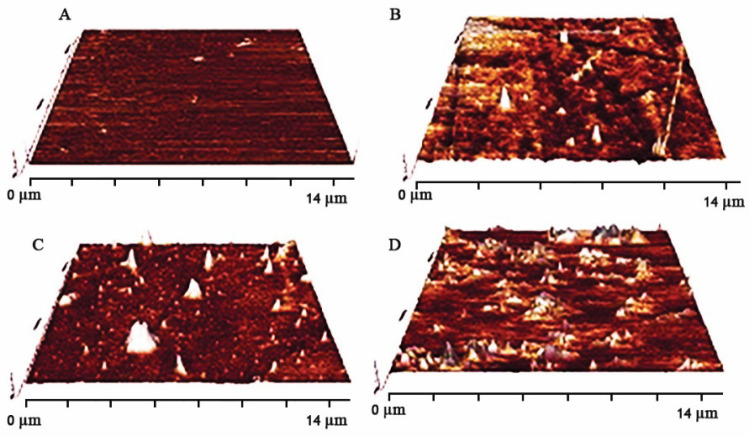 AFM images of different surface roughness: (A) control (without any plasma exposure), (B) time of exposure: 30 s, (C) time of exposure: 90 s, (D) time of exposure: 180 s