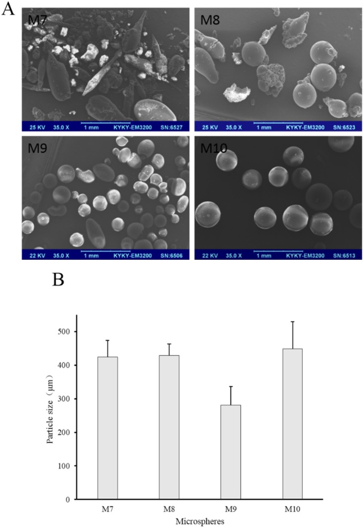 (A) SEM images and (B) number average particle size of M7 to M10