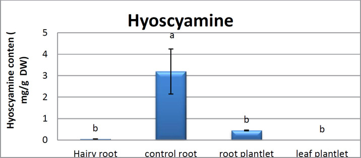 Analyses for hyoscyamine contents in hairy root, control roots, root and leaf plantlet of Atropa komarovii