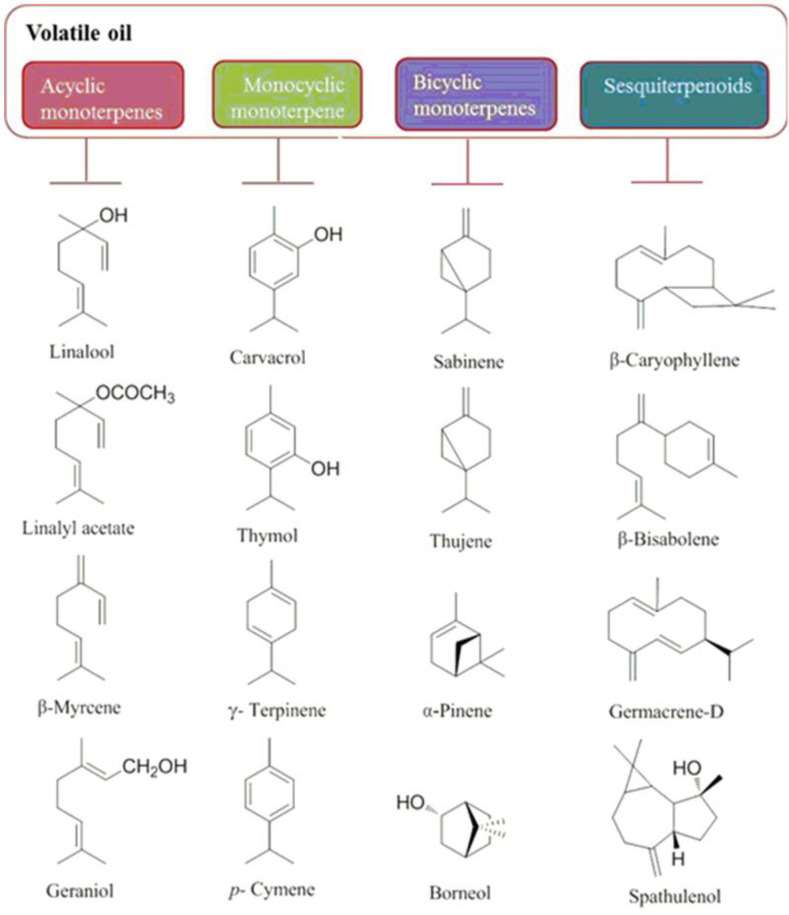 Chemical structures of main volatile compounds of O. vulgare