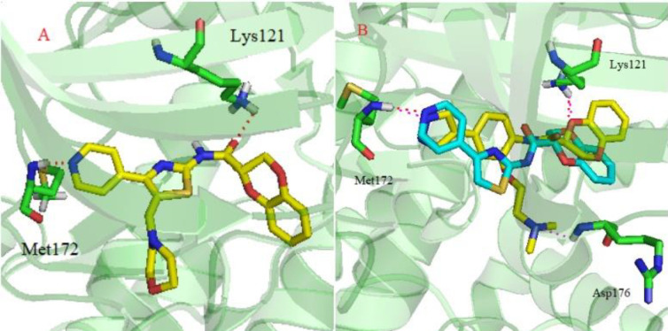 (A) Predicted binding mode of compound 4v (yellow) with ROCK II (PDB ID:4L6Q); (B) Predicted binding mode of compound I (yellow) and II (blue) with ROCK II (PDB ID:4L6Q). The residues in ROCK II are shown in green sticks. Hydrogen bonds are shown as red dashed lines