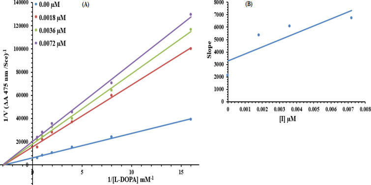 Lineweaver–Burk plots for inhibition of tyrosinase in the presence of compound 7g. (A) Concentrations of 7g were 0.00, 0.0018, 0.0036 and 0.0072 µM, respectively. Substrate L-DOPA concentrations were 0.0625, 0.125, 0.25, 0.5, 1 and 2 mM, respectively. (B) The insets represented the plot of the slope versus inhibitor 7g concentrations to determine the inhibition constant. The lines were drawn using linear least squares fit