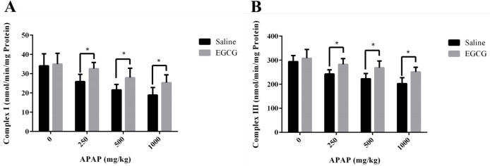 Activities of RCC (A) I and (B) III in liver mitochondria of SD rats with/without EGCG treatment after being injected APAP for 8 h. Values represent the mean ± SD. *p < 0.05, based on student's t-test