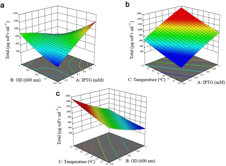 Response surface plots to represent the interaction of experimental variables on the antiEpEX-scFv total expression level using the BBD-RSM methodology. (a) OD600 and IPTG concentration; (b) post induction temperature and IPTG concentration; (c) OD600 and post induction temperature. Units in response plots are μg scFv mL−1.