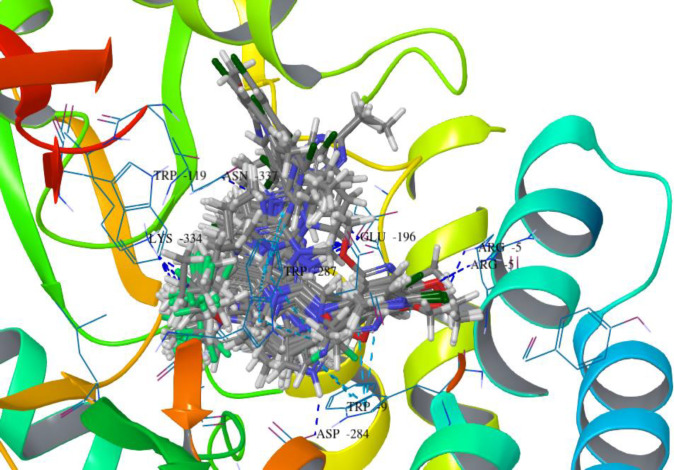 The binding pattern of superimposed docked compounds in the binding pocket of 3EHT protein showing H-bond interactions