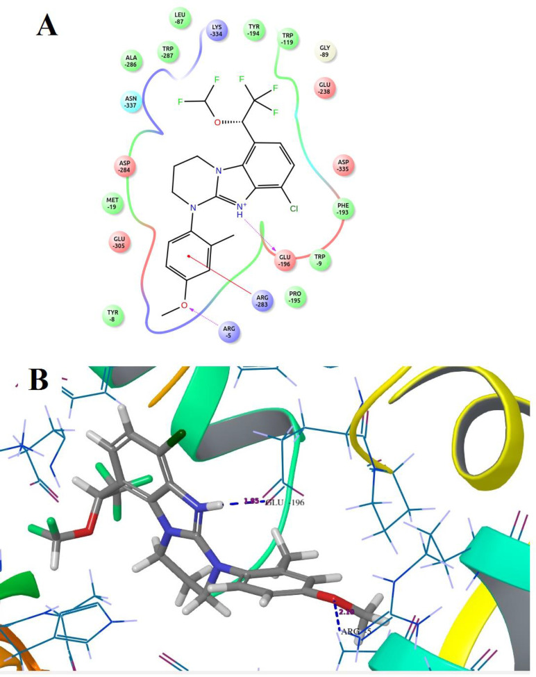 Docked compound B18 with the target protein (A) Ligand interaction diagram (B) 3D diagram