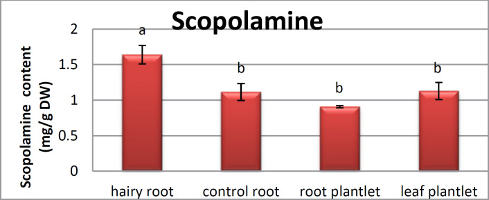 Analyses for scopolamine contents in hairy root,control roots, root and leaf plantlet of Atropa komarovii