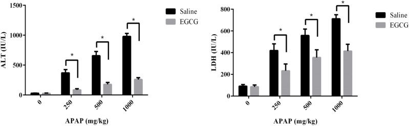 (A) ALT and (B) LDH levels in the plasma of SD rats with/without EGCG pre-treatment after being injected APAP for 8 h. Values represent the mean ± SD. *p < 0.05, based on student's t-test