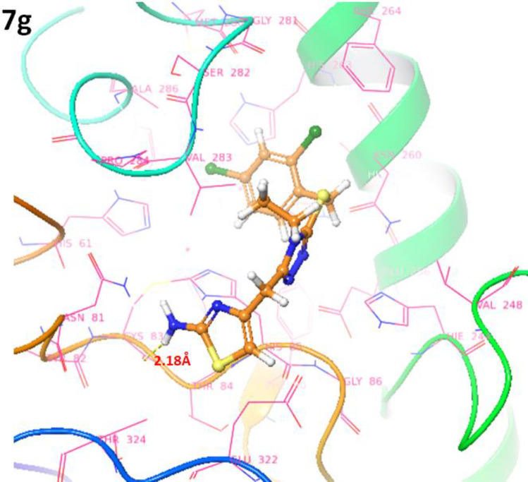 Docking complexes of 7g. The ligand structures 7g is highlighted in brown color while the interactive residues are depicted in pink color