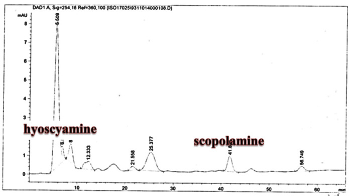 Analysis of Scopolamine and hyoscyamine HPLC of Atropa komarovii  root culture