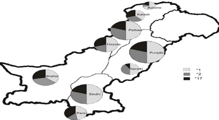 Prevalence of CYP2C19 alleles among nine Pakistani ethnic groups