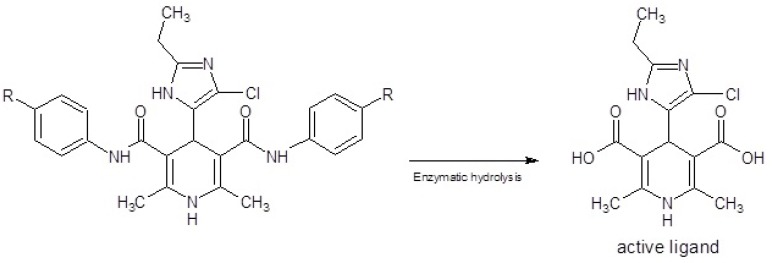Enzymatic bio-activation of dihydropyridines 3a-f