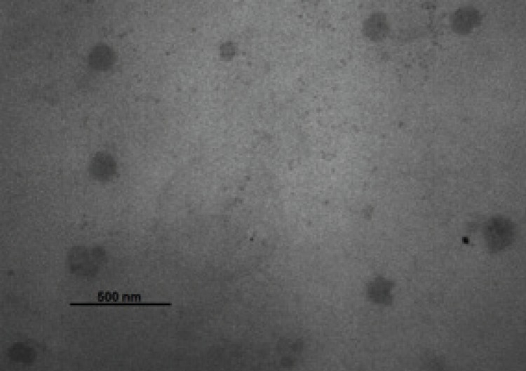 Transmission electron micrographs of the Dibudipine-containing Phytosolve. The scale bar represents a distance of 500 nm