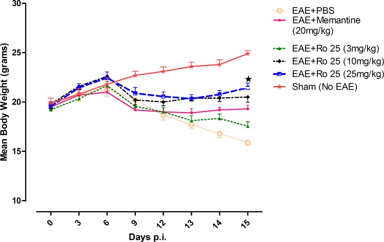 The effect of different doses of RO25-6981 compared to PBS and memantine on changes in mean body weight over time during EAE. All groups (except sham group) showed similar progression of weight loss till day 12, but groups treated with RO 25-6981, specially group 5 (25 mg/Kg/day) displayed gradual recovery of weight from day 12 p.i. EAE+Ro 25= EAE groups treated with RO 25-6981 ( Groups 3,4 and 5), EAE+ Memantine= EAE group treated with Memantine (group 2). Each graph presents daily mean body weight ± S.E.M. = Significant compared to PBS
