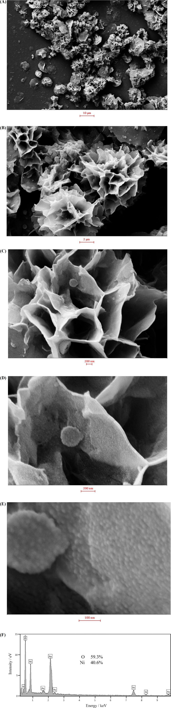 (A-E) SEM micrographs of the synthesized nickel hydroxide nanosheets at different magnifications; (F) EDS spectrum of the electrode surface