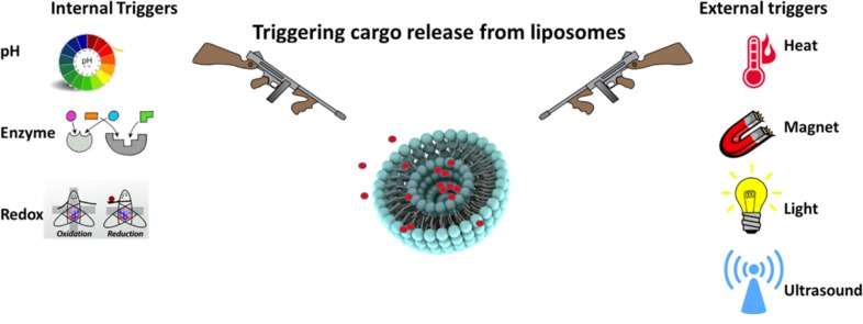 Schematic illustration of stimuli-responsive liposomes triggered upon external as well as internal stimulation