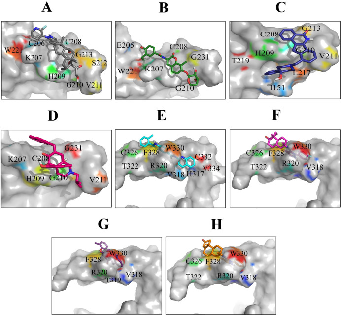 Binding orientations of residues within the binding sites of Wnt2 during interaction with the selected lead compounds: Interactions of binding site 1 of Wnt2 with (A) ZINC40499329, (B) ZINC71316775, (C) ZINC35282053, (D) ZINC36221390 and binding site 2 of Wnt2 with (E) ZINC66078286, (F) ZINC73408075, (G) ZINC60137214, (H) ZINC06482373
