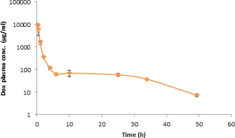 Plasma concentration–time profile after I.V. administration of doxorubicin (5 mg/Kg) in rats (n=6).