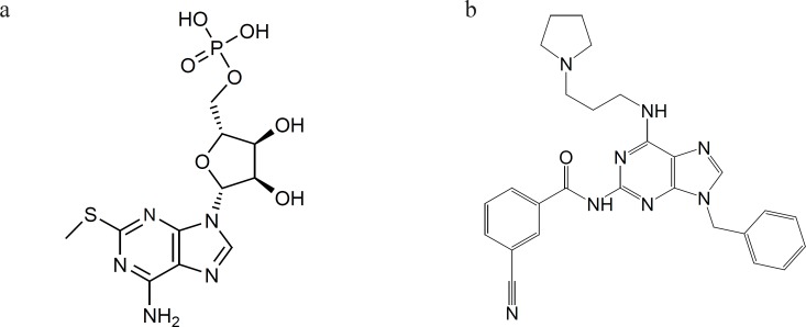 Compounds with similar structure to purine base that show antiplatelet activity. a: 2-methylthioadenosine 5›-monophosphate triethylammonium salt. b: 3-Cyano-N-[9-phenylmethyl-6-(3-(pyrrolidinyl)-propylamino)-9H-purin-2-yl] benzenecarboxamide semihydrate