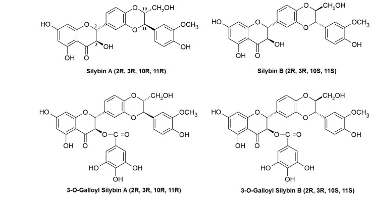 Chemical structures of silibinin stereoisomers and their 3-O-galloyl derivatives assessed in this study.