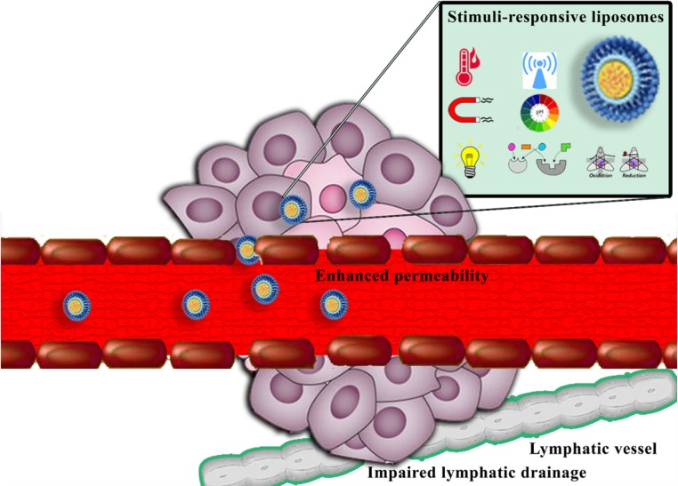 Schematic illustration of enhanced permeability and retention (EPR) effect and passive targeting of nanocarriers to solid tumors