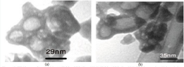 TEM images of nanoparticles (a) SPGO–mPEG-silane 550 (b) SPGO–mPEG-silane2000. TEM images show high resolution images of separated gadolinium nanoparticles after coating with PEG chelates. These particles were agglomerated and couldn’t show images as sharp as that of DEG coated particles