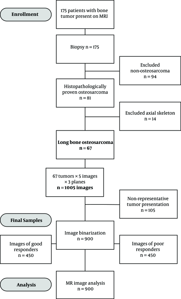 Breast cancer evaluation by fluorescent dot detection using combined  mathematical morphology and multifractal techniques, Diagnostic Pathology