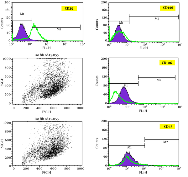 Characterization of dermal fibroblasts cell surface markers using flow cytometric analysis for CD146, CD45, CD106, and CD29