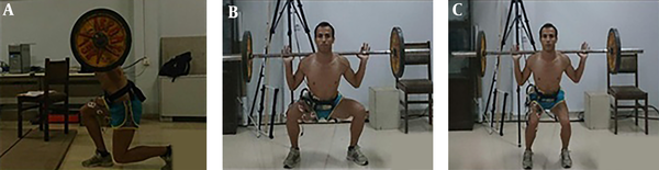 Performing the squat movement; A, parallel; B, plie with the outboard paw; C, squat lunges (scissors).