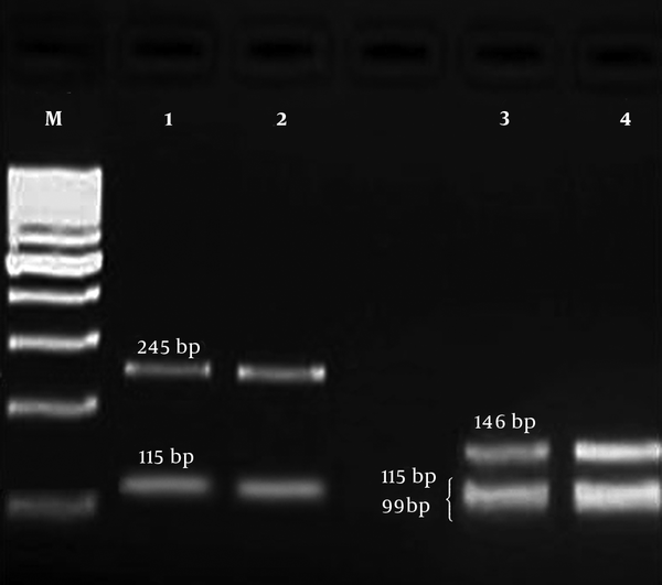 Agarose gel electrophoresis of PCR-RFLP products for gyrA gene; M: 100-bp DNA size marker, columns 1 and 2: mutant isolates (produced two fragments, 115 and 245 bp), columns 3 and 4: wild type isolates (produced three fragments, 99, 115, and 146 bp).