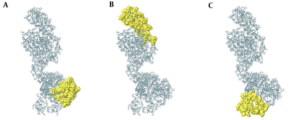 Conformational B-cell epitopes of 3M2e-HA2-HSP70c predicted from the modeled structure (A to C). The result was viewed by Jmol viewer. In the ball-and-stick model, yellow balls are the residues of Conformational predicted epitopes and sticks are non-epitope residues structures.