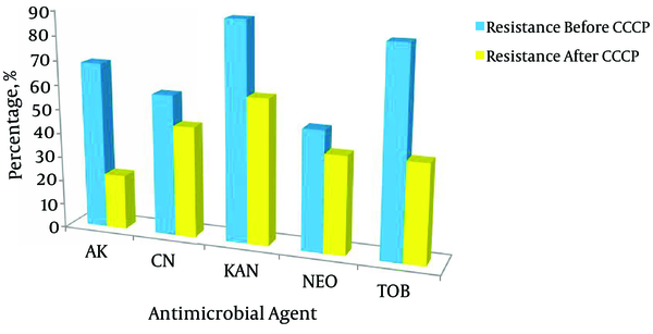 Change in the antibiotic resistance among A. baumannii isolates in the presence of the efflux pump inhibitor CCCP (carbonyl cyanide 3-chlorophenylhydrazone) where CN: gentamicin; K: kanamycin; TOB: tobramycin; NEO: neomycin; AK: amikacin).