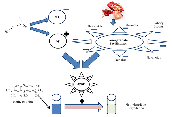 The proposed scheme of AgNP synthesis in the presence of pomegranate PE and its application in photocatalytic degradation of MB dye