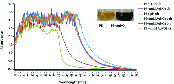 The UV-VIS spectral range (190 - 750 nm) showing broad peaks at 432 - 442 nm. The insert shows pomegranate PE (pale yellow) and AgNP formation (change of color to dark brown).